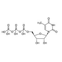5-Methyl-UTP Sodium Salt, 100mM