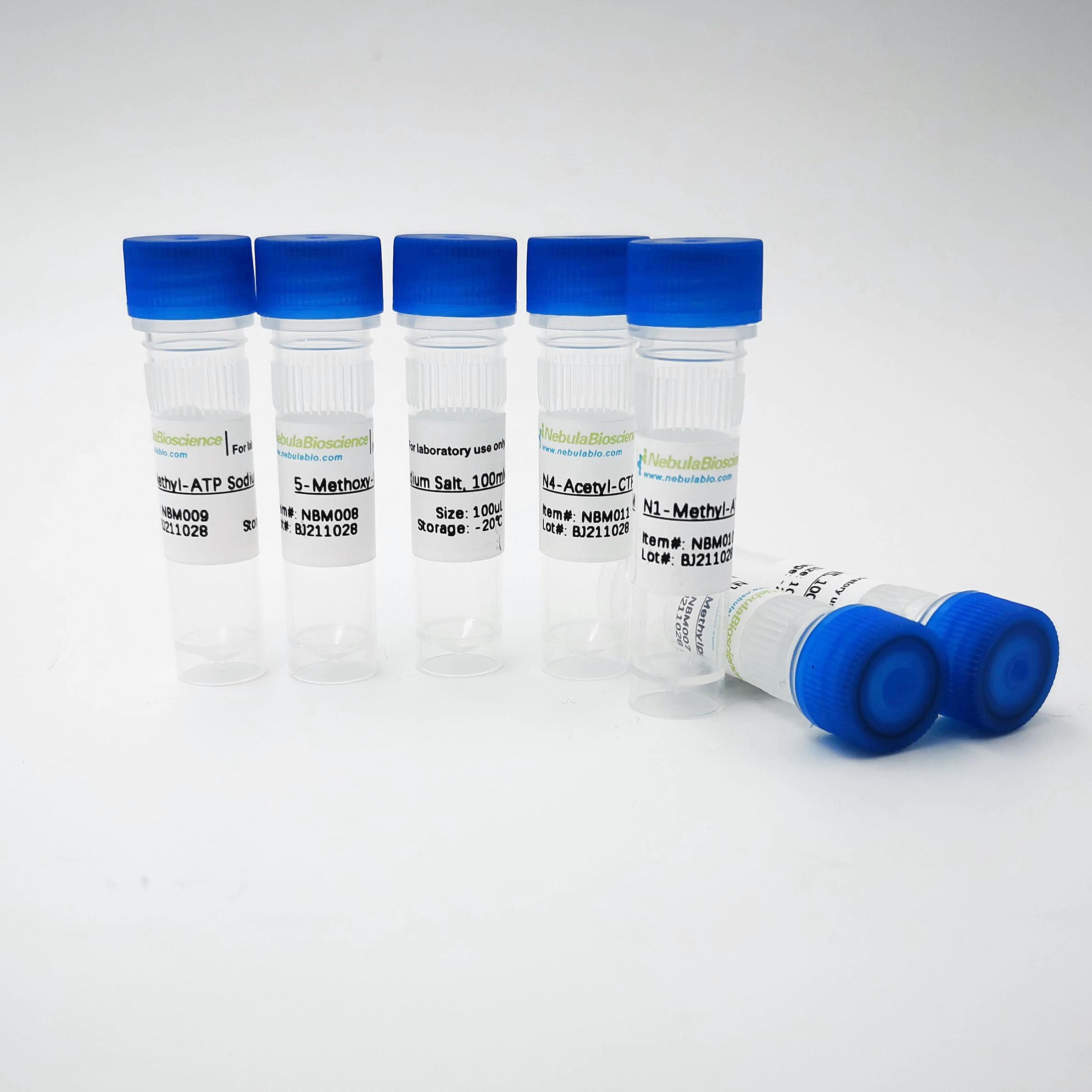Nebtech™ Recombinant Mouse ACE2 Protein (Fc Tag)