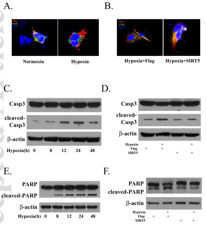 低氧/厌氧产品案例——低氧与口腔牙周炎研究