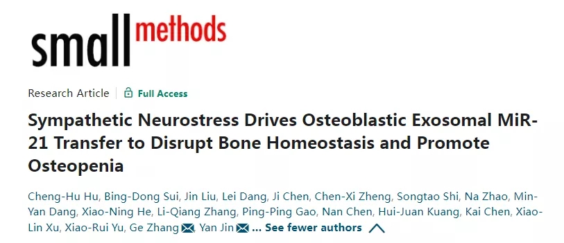 Small Methods (IF14+)丨交感神经应激驱动成骨细胞外泌体MiR-21转移以破坏骨稳态并促进骨质减少
