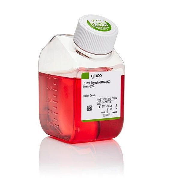 Gibco胰蛋白酶-EDTA (0.25%)，含酚红 25200072