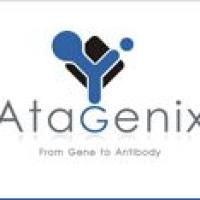 细胞凋亡检测服务