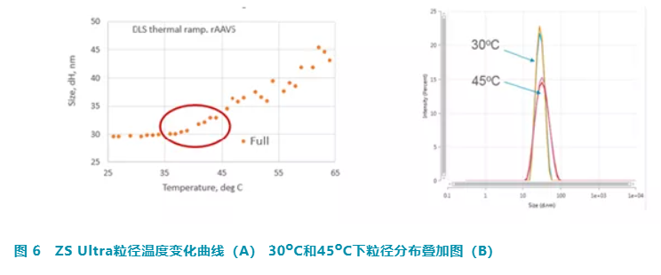 【热点应用】高级多检测器 SEC 表征腺相关病毒载体的方法