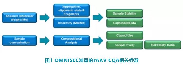 【热点应用】高级多检测器 SEC 表征腺相关病毒载体的方法