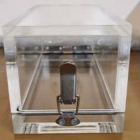 动物麻醉诱导盒