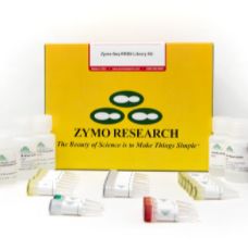 zymo D5005/D5006甲基化 EZ DNA Methylation-Gold Kit现货