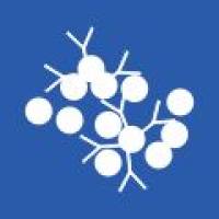 磷酸化抗体定制服务（抗体定制）