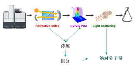 【热点应用】高级多检测器 SEC 表征腺相关病毒载体的方法