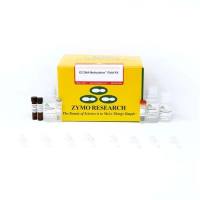 EZ DNA Methylation-Gold Kit(EZ DNA甲基化试剂盒-GOLD)