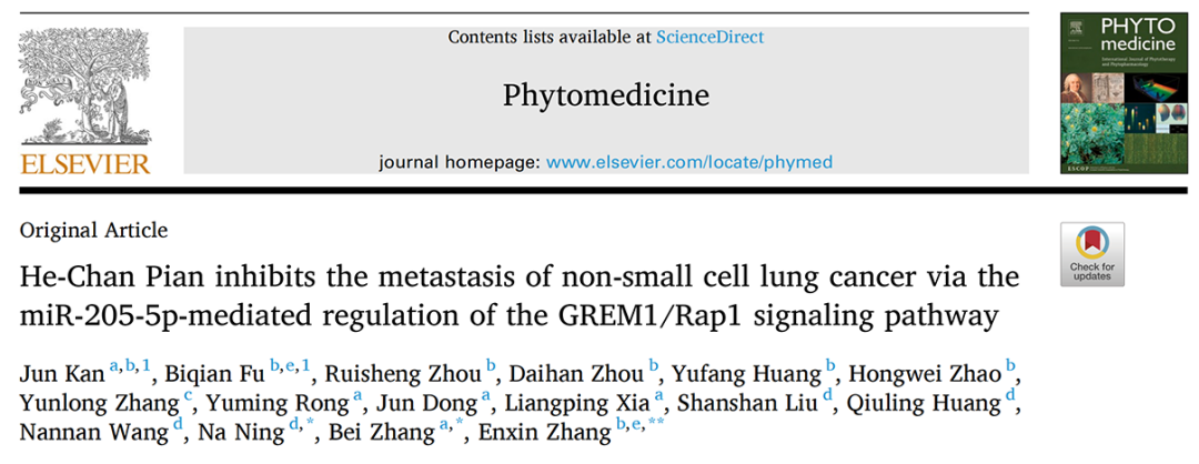 客户文章 | 鹤蟾片通过miR-205-5P介导的GREM1/Rap1信号通路抑制非小细胞肺癌的转移