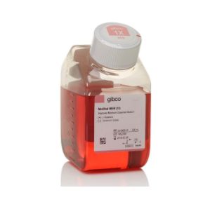 Gibco A1048901 改良的 IMEM（改进的最低必需培养基），含 L-谷氨酰胺，不含硫酸庆大霉素