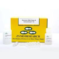 Genomic DNA Clean & Concentrator-10