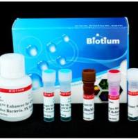 实时PCR细菌活力试剂盒 - E. coli (uidA) xx 31050-X