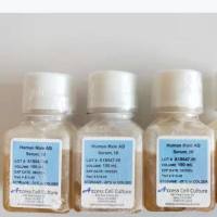 Access AB血清 515-HI