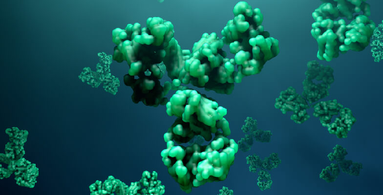 一起揭秘抗体背后的故事！