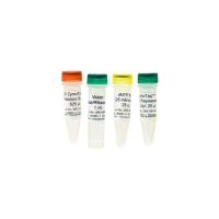 ZymoTaq DNA Polymerase(DNA聚合酶)