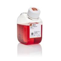 Gibco 16600082 McCoy's 5A （改良）培养基  现货