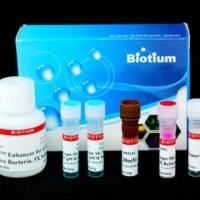 实时PCR细菌活力试剂盒 - E. coli O157:H7 (Z3276) xx 31037-X