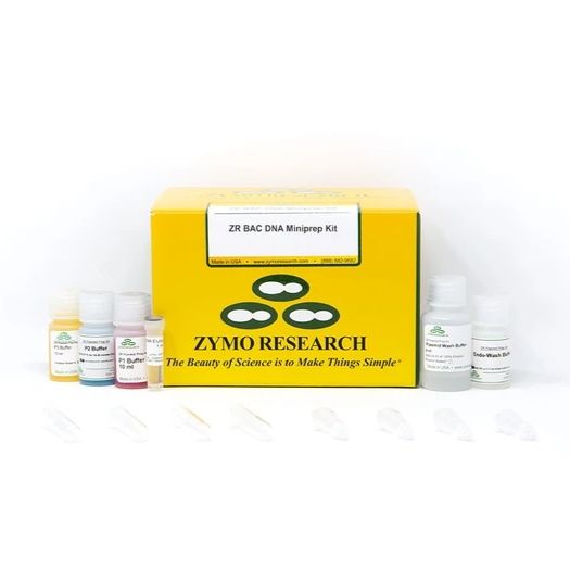ZR BAC DNA Miniprep Kit
