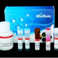 实时PCR细菌活力试剂盒 - Salmonella enterica (invA) xx