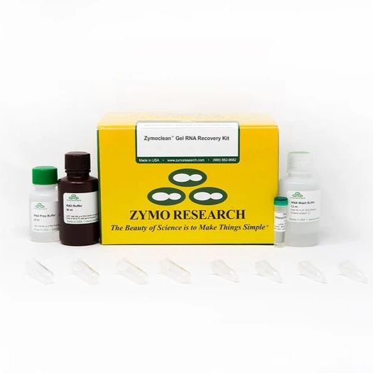 Zymoclean Gel RNA Recovery Kit（琼脂糖凝胶RNA回收试剂盒）