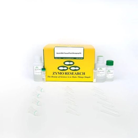 Quick-RNA Tissue/Insect Kit（组织/昆虫基因组RNA微量提取试剂盒）