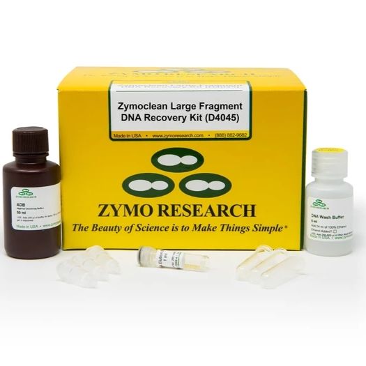 Zymoclean Large Fragment DNA Recovery