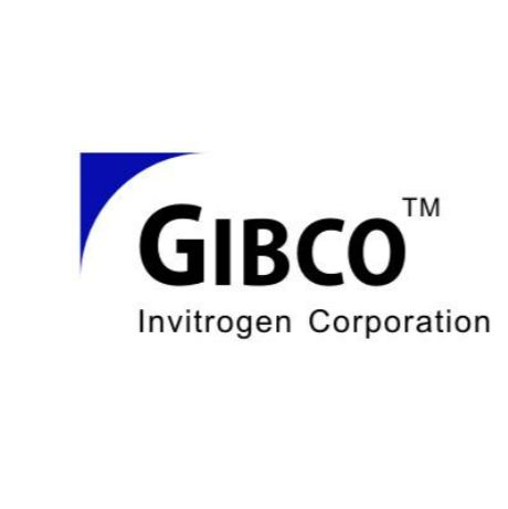Gibco 17105041 分散酶 II，粉末