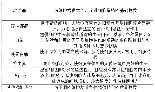 带你走近细胞生物学世界的第一步——细胞培养