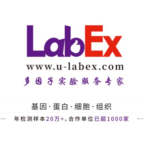 LabEx多因子检测服务