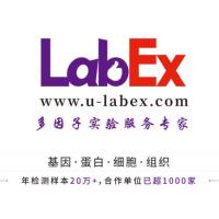 LabEx多因子检测服务