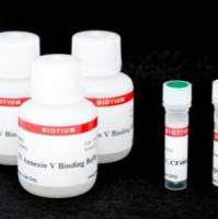 CF488A和PI凋亡检测试剂盒 30061