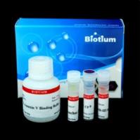 凋亡、坏死和健康细胞定量试剂盒Plus (50 assays) 30066