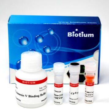 NucView 488 Caspase-3底物和CF640R膜联蛋白V双重凋亡检测(50 assays) 30073