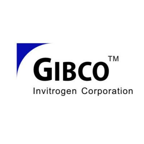 Gibco 41090036 MEM，GlutaMAX  添加剂 现货