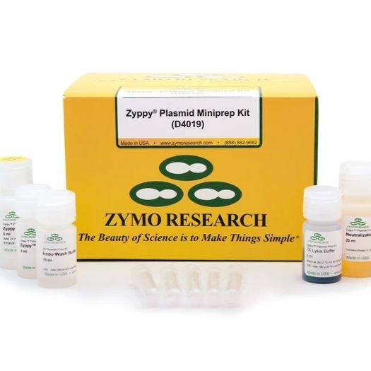 Zyppy Plasmid Miniprep Kit（质粒小量提取试剂盒）