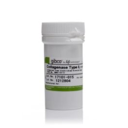 Gibco 17101015 II 型胶原酶，粉末 现货