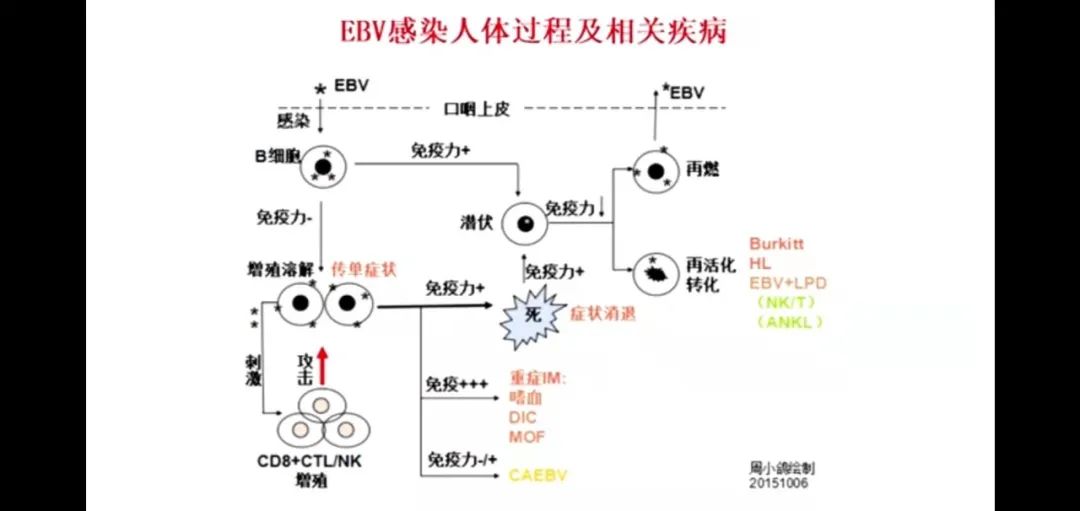 第九届陆道培医疗集团流式细胞术临床应用及新进展学习班胜利召开