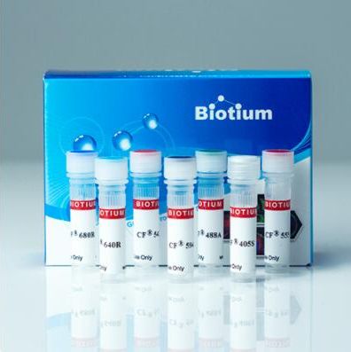 Biotin 单克隆小鼠抗体 CF®750,250ul 20501-250uL