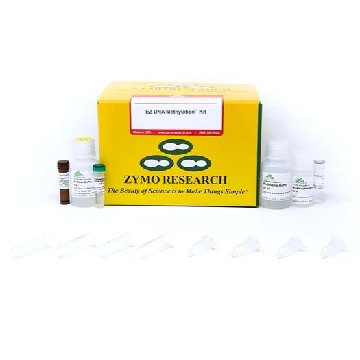 EZ DNA Methylation Kit(甲基化试剂盒)