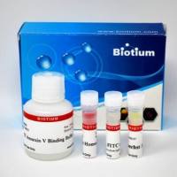 凋亡、坏死和健康细胞定量试剂盒(50 assays) 30018