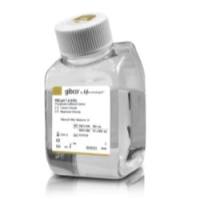 Gibco 70011044 PBS (10X),pH 7.4 现货