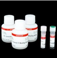 CF488A和7-AAD凋亡检测试剂盒 30060