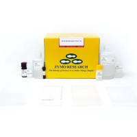 EZ-96 DNA Methylation-Gold Kit(96孔甲基化试剂盒)