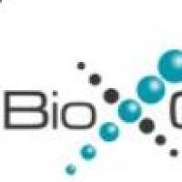 Bio X Cell