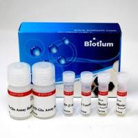 ATP GloTM生物发光细胞活力测定试剂盒 (200 assays) 30020-1
