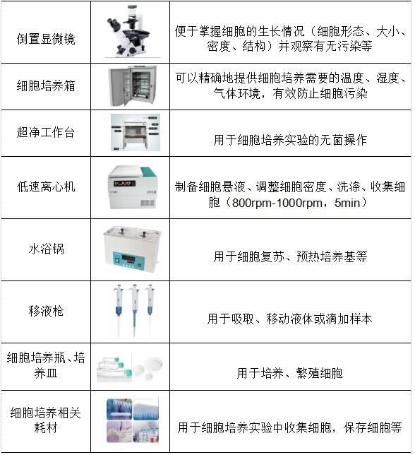 带你走近细胞生物学世界的第一步——细胞培养
