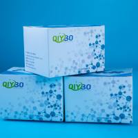 裂解液VIII:细菌活性化蛋白制备溶液