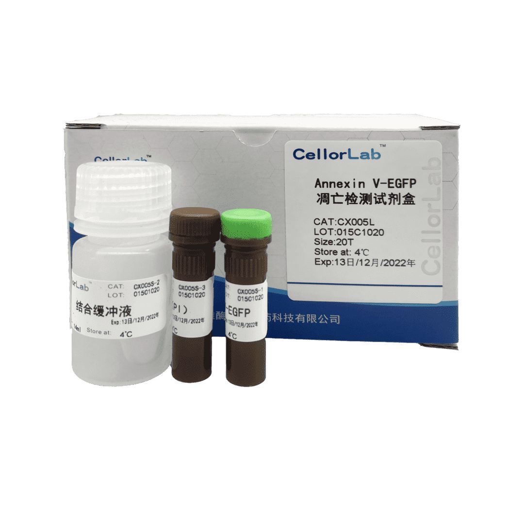 CX005L Annexin V-EGFP凋亡检测试剂盒