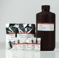 VersaBlot™ 总蛋白标准化试剂盒 CF®770T (Ex/Em 764/787 nm) ,500 labeling 33026